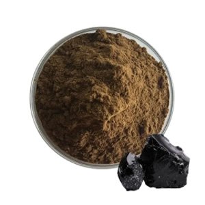 Shilajit Powder